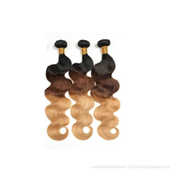 Unprocessed Human Body Wave T1b/4/27 3 Tone Ombre Color Brazilian Virgin Hair With Closure